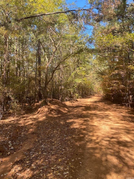 0 Mercer Bayou Unit 24034920, Fouke, AR 71837