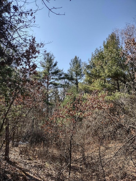 Lots 18 & 19 Whitetail Ct, Black River Falls, WI 54615