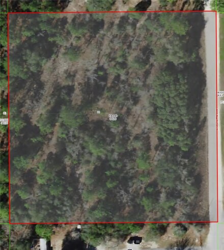 8228 N Calcutta Ave, Dunnellon, FL 34433
