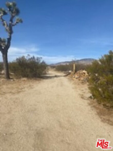 6000 140th St W, Willow Springs, CA 93560