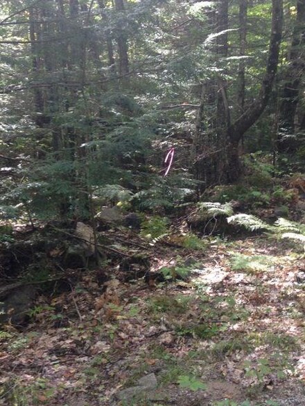 0 Ann Flint Brook Rd Unit 1372779, Albany Township, ME 04217