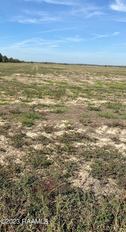 Tbd #2 Johnson Hwy, Eunice, LA 70535
