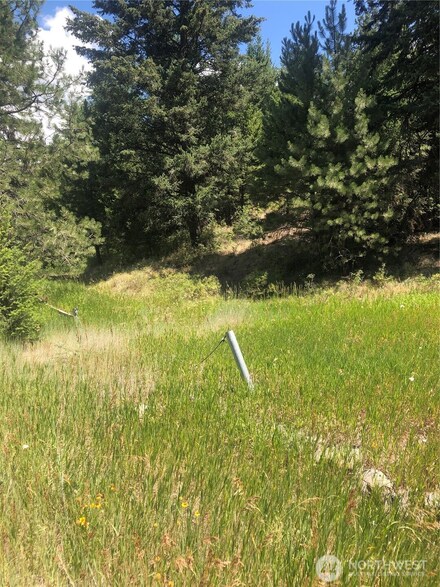 22 Pine Chee Rd, Tonasket, WA 98844