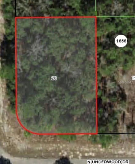 6621 N Underwood Dr, Pine Ridge, FL 34434