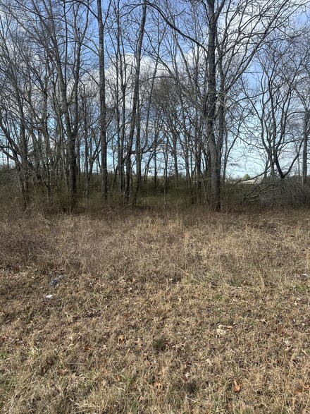 0 Oak Tree Dr, McMinnville, TN 37110