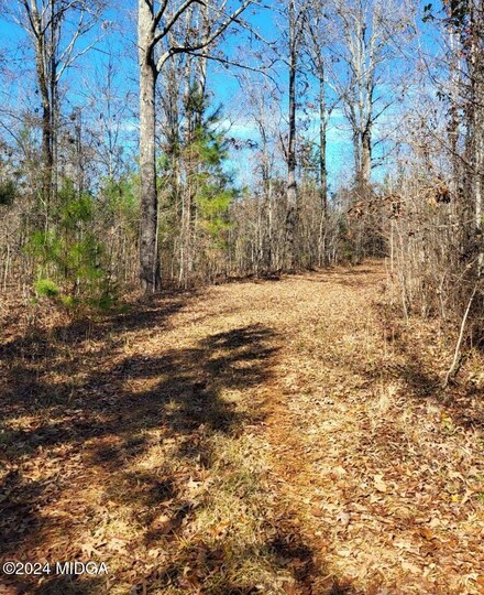 0 Abercrombie Rd Unit 177676, Forsyth, GA 31029