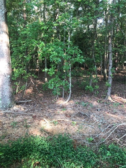 0 Luke Bauknight Rd, Starr, SC 29684