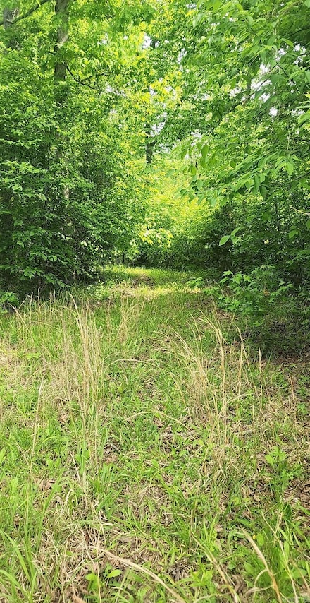 Tract 1 Kulp Rd, Boles, AR 72926