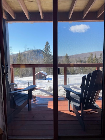 124 Bridge Run Ln Unit B, Lutsen, MN 55612