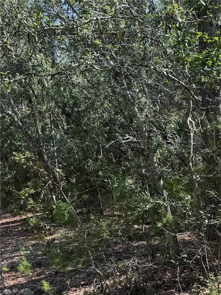 (40) Chatterton Church Rd, Nicholls, GA 31554