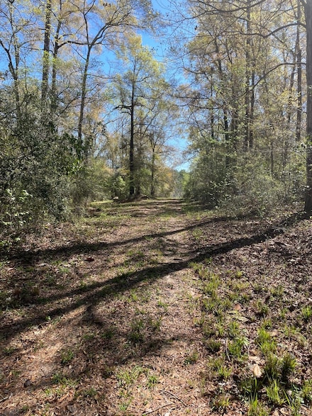 0 George Boles Rd, Babble, AL 36421