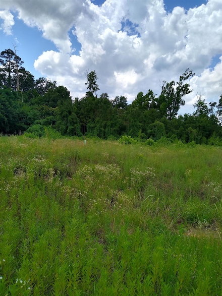 113-121 Bass St, Tallahassee, FL 32301