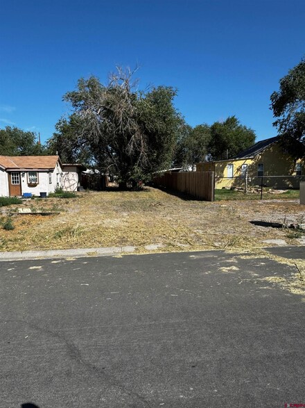 Lot 21 N 3rd St, Montrose, CO 81401