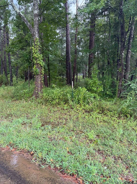 833 County Road 3639, Big Sandy, TX 75755