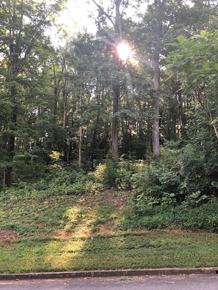 Lot 43 Chimney Top Ln, Chuckey, TN 37641