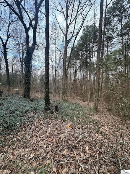 246 Whispering Pines Trail, Minden, LA 71055