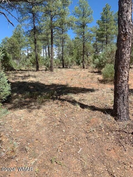 241 E Summerberry Dr, Show Low, AZ 85901