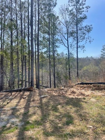 23 Bridgestone Way, Cartersville, GA 30120