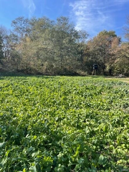0 60 Acres Dogwood Dr, Browning, MO 64630