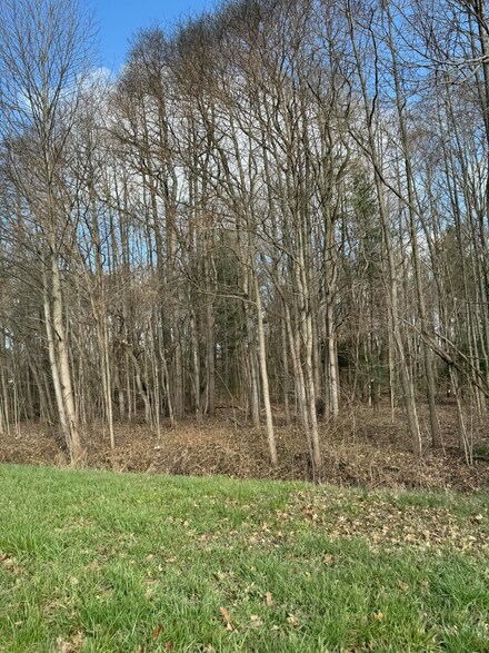 0 California Rd, Sawyer, MI 49125