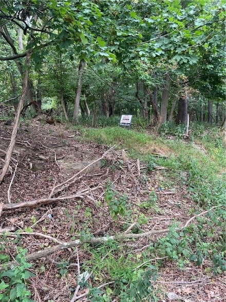 Lot#4 Elm St, Washington, PA 15301