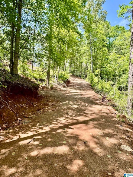 1.5 +/- Acres County Road 82 Unit 1, Wedowee, AL 36278