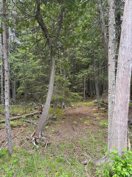 0 W Bues Point Rd, Baileys Harbor, WI 54202