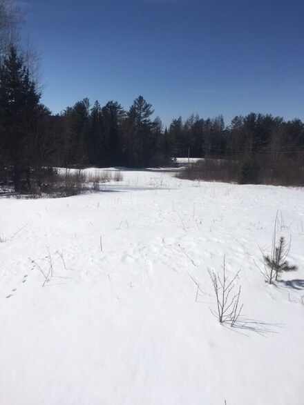 0 Morel Rd Unit 4623516, Dalton, NH 03598