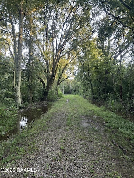 Tbd Bienville Rd, Ville Platte, LA 70586