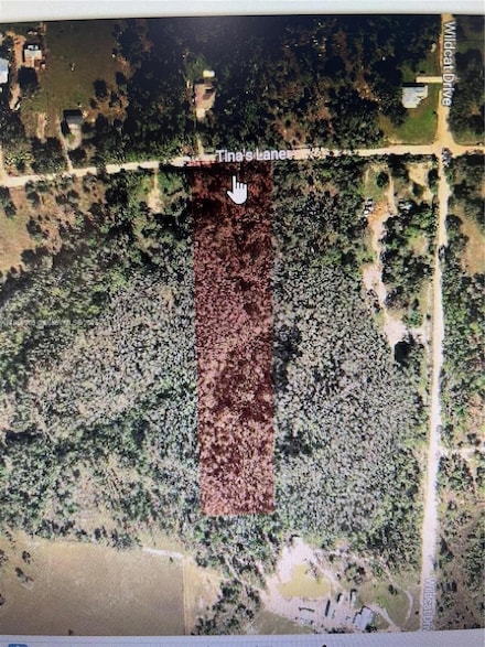 22870 Tinas Ln, Fort Myers, FL 33913