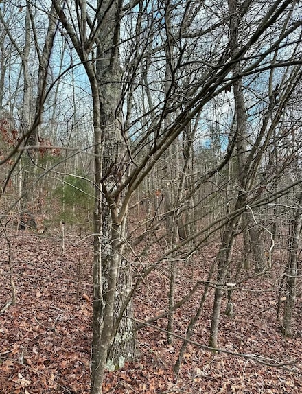 0 Grasshopper Rd Unit RTC2771500, Birchwood, TN 37308