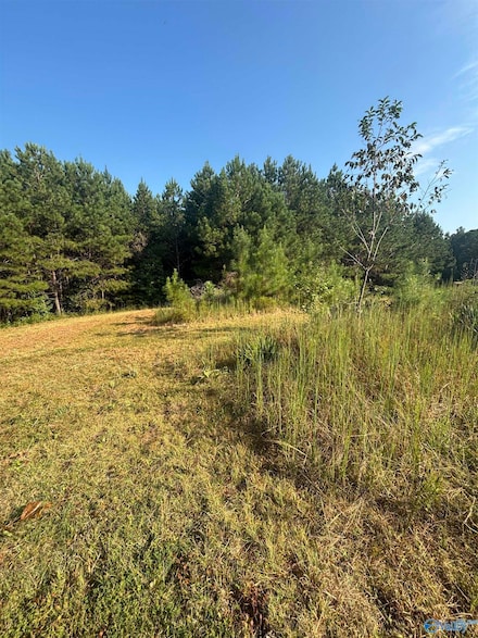 277 County Road 285, Muscadine, AL 36269