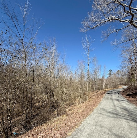 0 Will Allen Rd Unit 1508416, Decatur, TN 37322