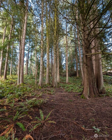 10 A&b Shooting Star Ct, Bellingham, WA 98229