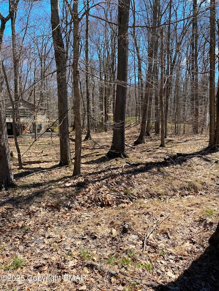 301 Tommy's Ln, Tobyhanna Township, PA 18347