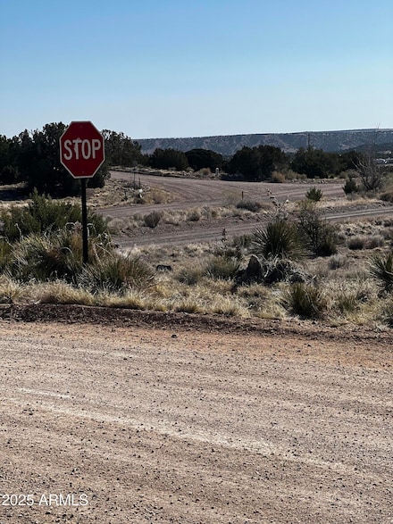 60 Short Ln Unit 1, Concho, AZ 85924