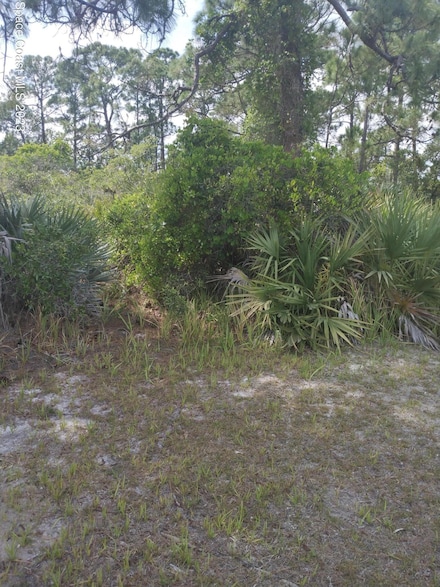 Unknown Unknown, Cocoa, FL 32926