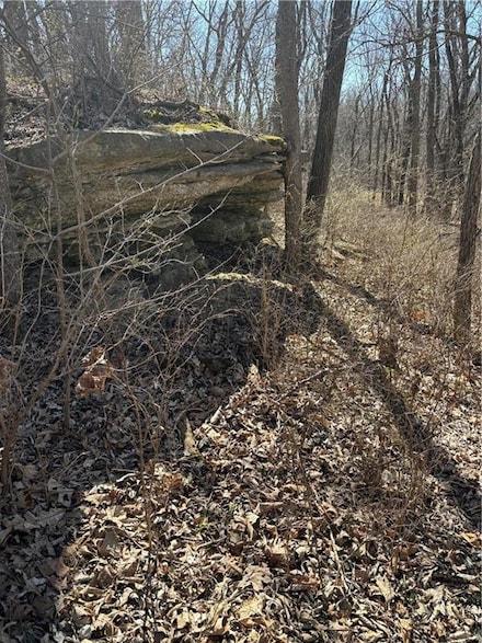 10818 State Highway Jj, Exclsor Springs, MO 64024