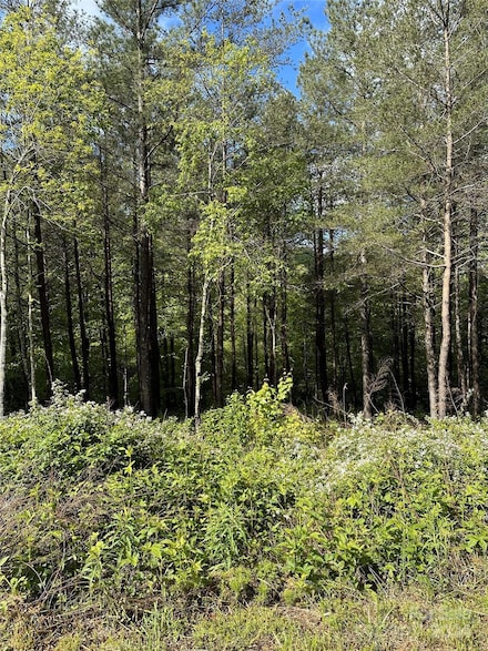 000 Shire Ln, Union Mills, NC 28167