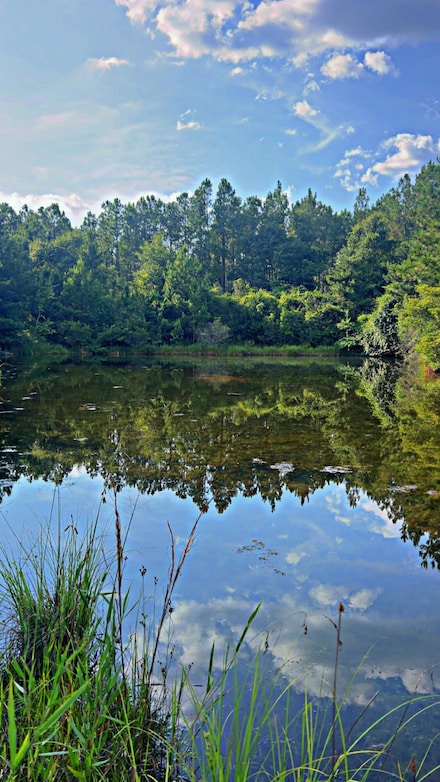 363 Acres Florida 85, Laurel Hill, FL 32567