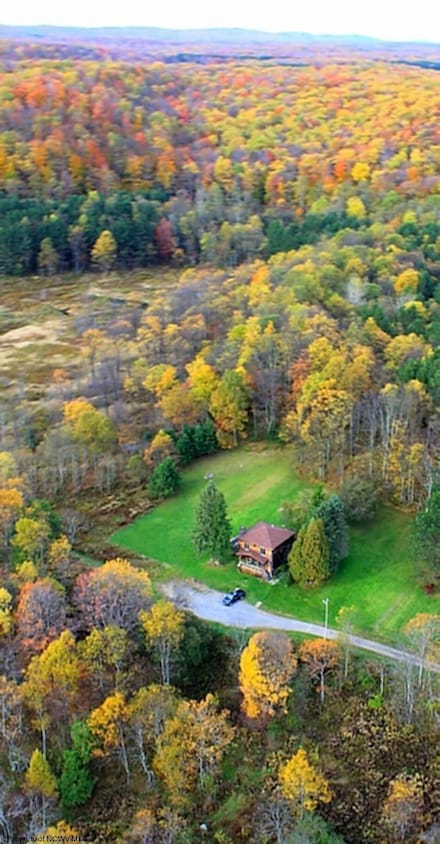 308 Snyder Run Rd, Thomas, WV 26292