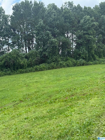 0 Coaling Rd Unit 21422882, Sylacauga, AL 35151