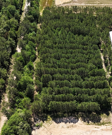 15211 Rubicon Rd, Willis, TX 77378