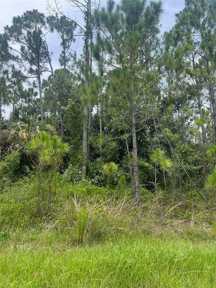 0 Bignay Rd Unit MFRN6134075, North Port, FL 34288