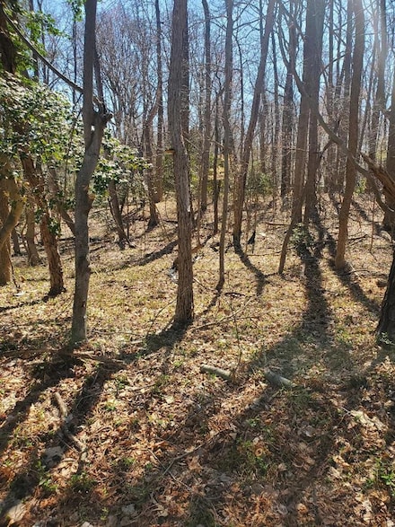 Lot 153 N Independence Dr, Montross, VA 22520