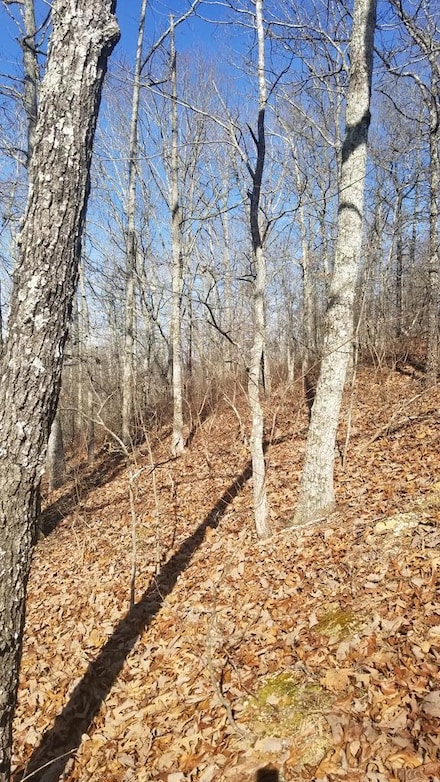 Lot 105 Dogwood Dr, Holladay, TN 38341