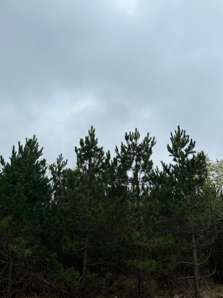 ON Cth Y Unit Lot 3, Tomahawk, WI 54487