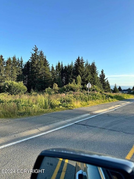 945 Soundview Ave, Homer, AK 99603