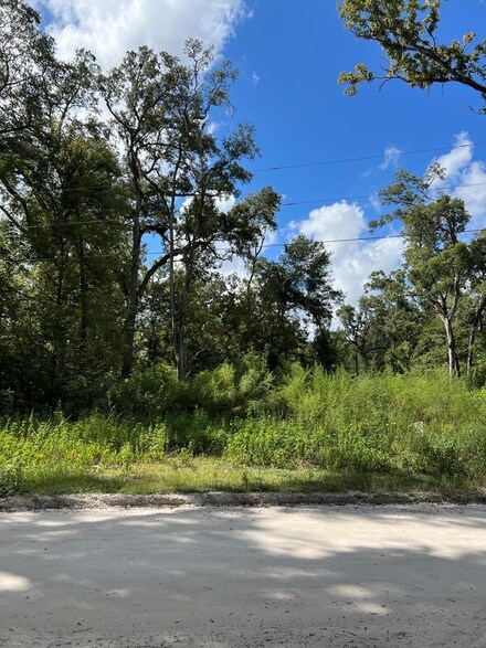 00 NE 197th Ave, Old Town, FL 32680