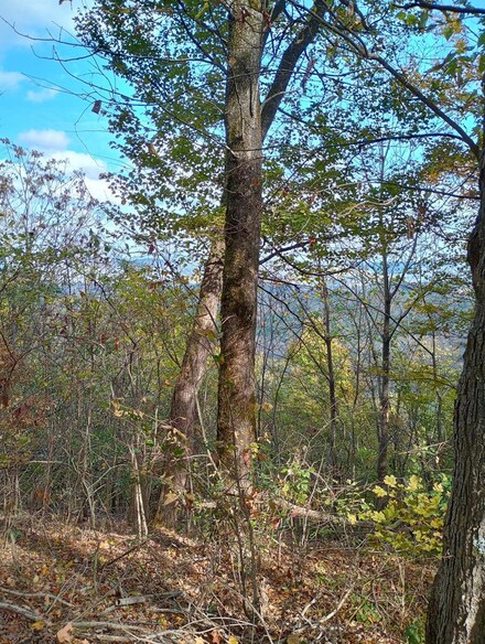 8627 Burks Hollow Rd, Christiana, TN 37037